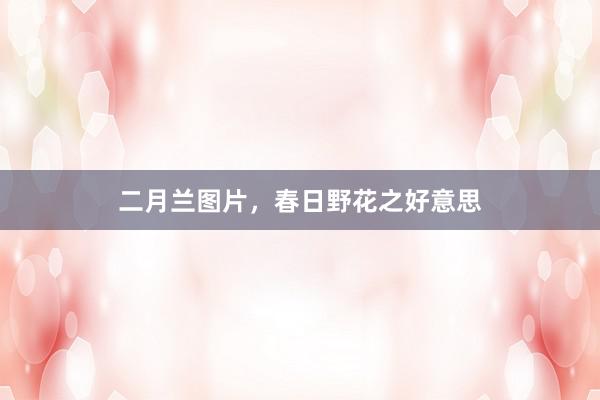 二月兰图片，春日野花之好意思